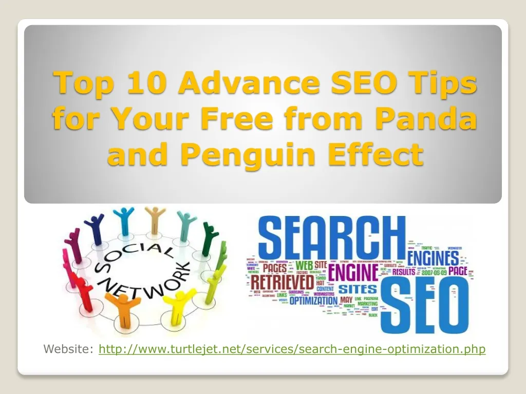 top 10 advance seo tips for your free from panda and penguin effect