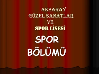 AKSARAY G ZEL SANATLAR VE SPOR LISESI - slide 1