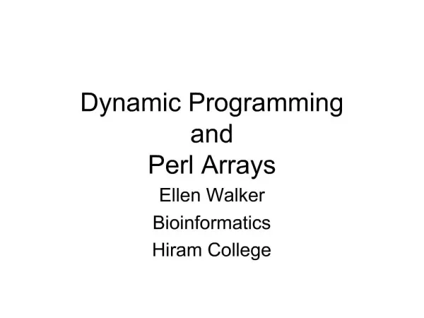 Dynamic Programming and Perl Arrays