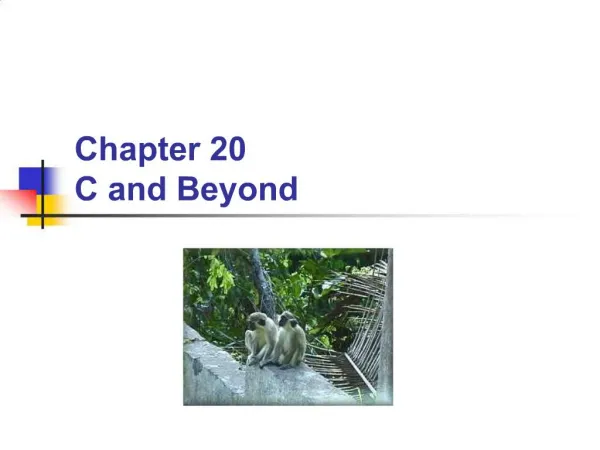 Chapter 20 C and Beyond