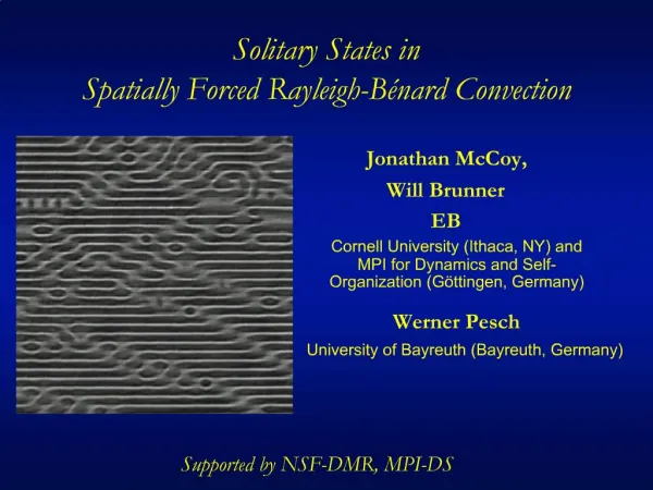 Solitary States in Spatially Forced Rayleigh-B nard Convection