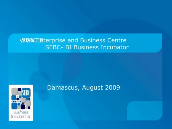SEBC Syrian Enterprise and Business Centre SEBC- BI Business Incubator