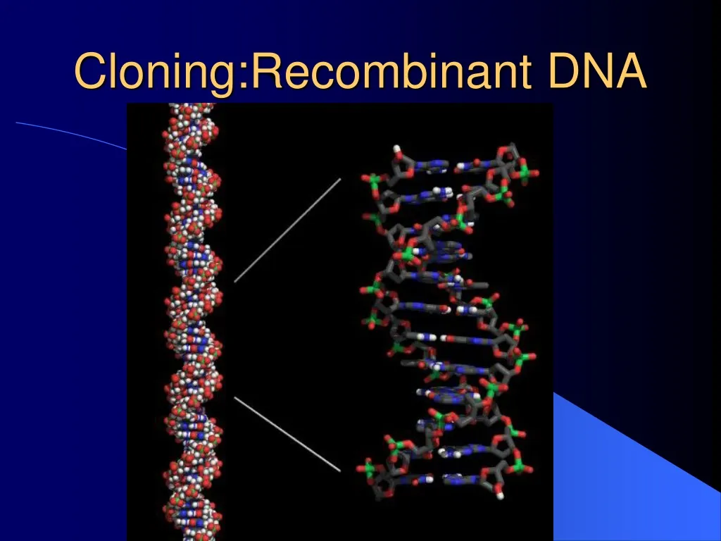 cloning recombinant dna