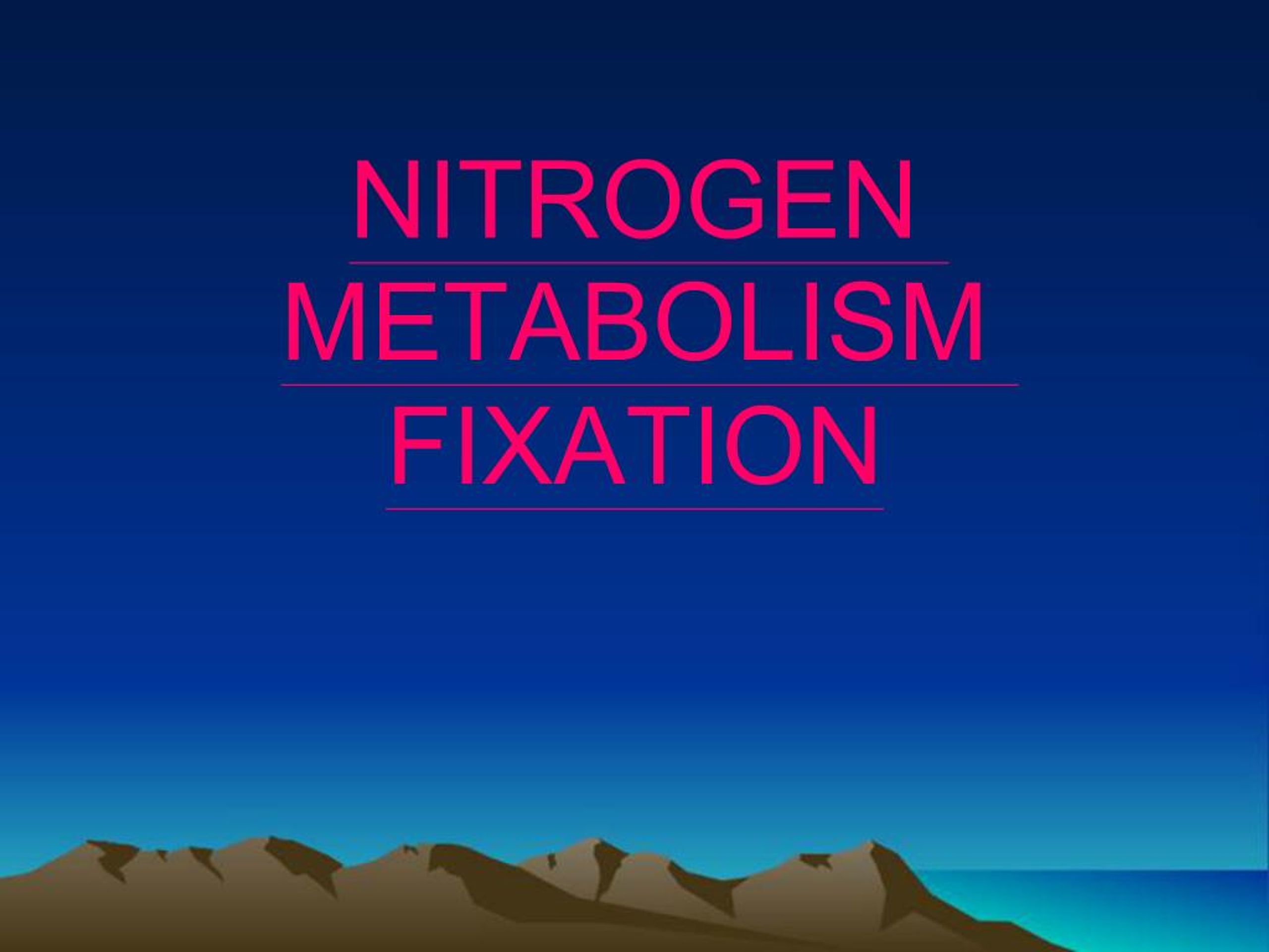 PPT - NITROGEN METABOLISM FIXATION PowerPoint Presentation, free ...