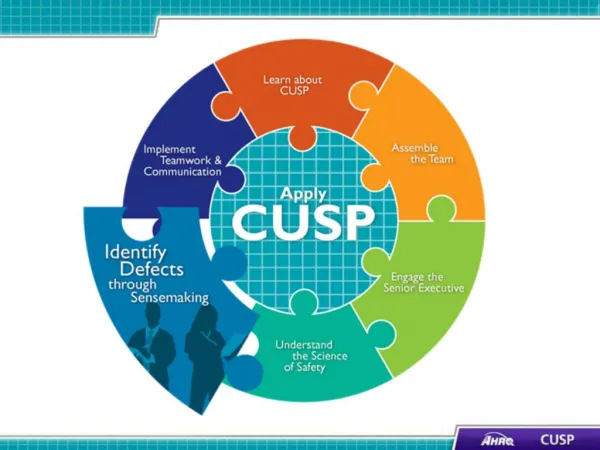 CUSP and Sensemaking Tools1