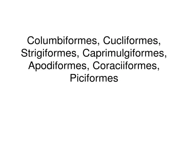 Columbiformes, Cucliformes, Strigiformes, Caprimulgiformes, Apodiformes, Coraciiformes, Piciformes