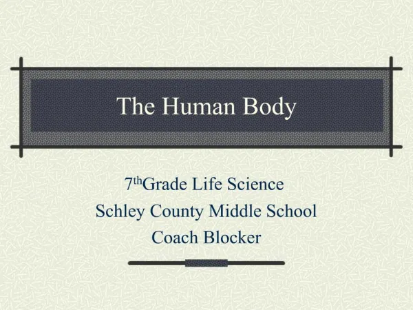 The Human Body