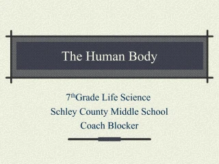 The Human Body - slide 1
