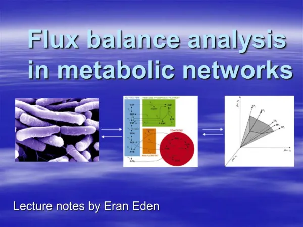 Flux balance analysis in metabolic networks