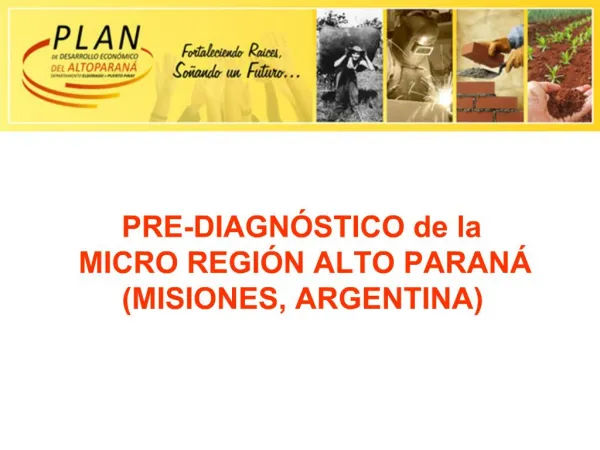 PRE-DIAGN STICO de la MICRO REGI N ALTO PARAN MISIONES, ARGENTINA