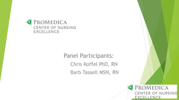 Panel Participants: Chris Koffel PhD, RN Barb Tassell MSN, RN