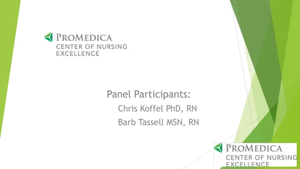 panel participants chris koffel phd rn barb tassell msn rn