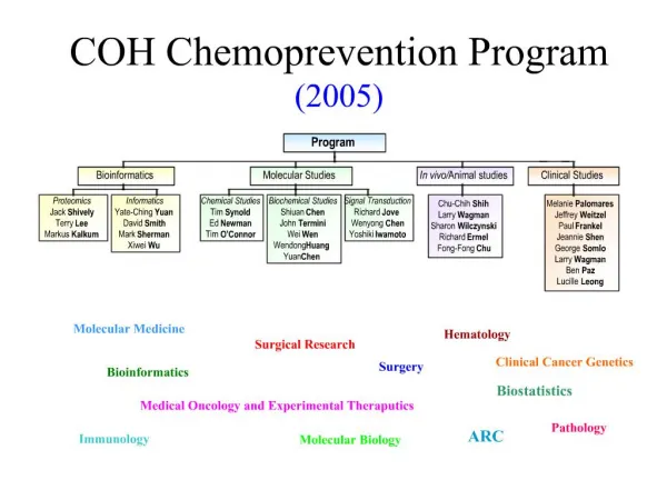 COH Chemoprevention Program 2005