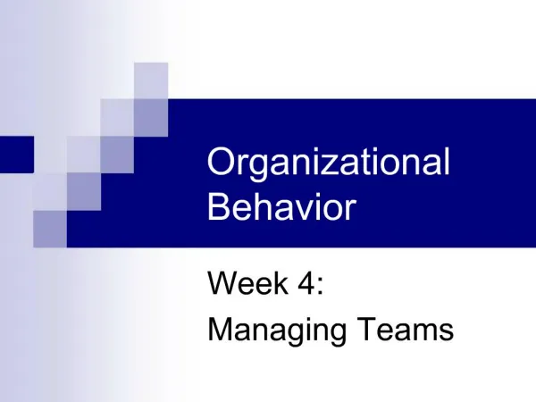 Organizational Behavior