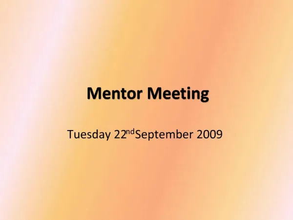 Mentor Meeting