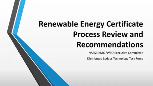 Renewable Energy Certificate Process Review and Recommendations