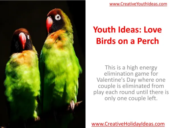 Youth Ideas: Love Birds on a Perch
