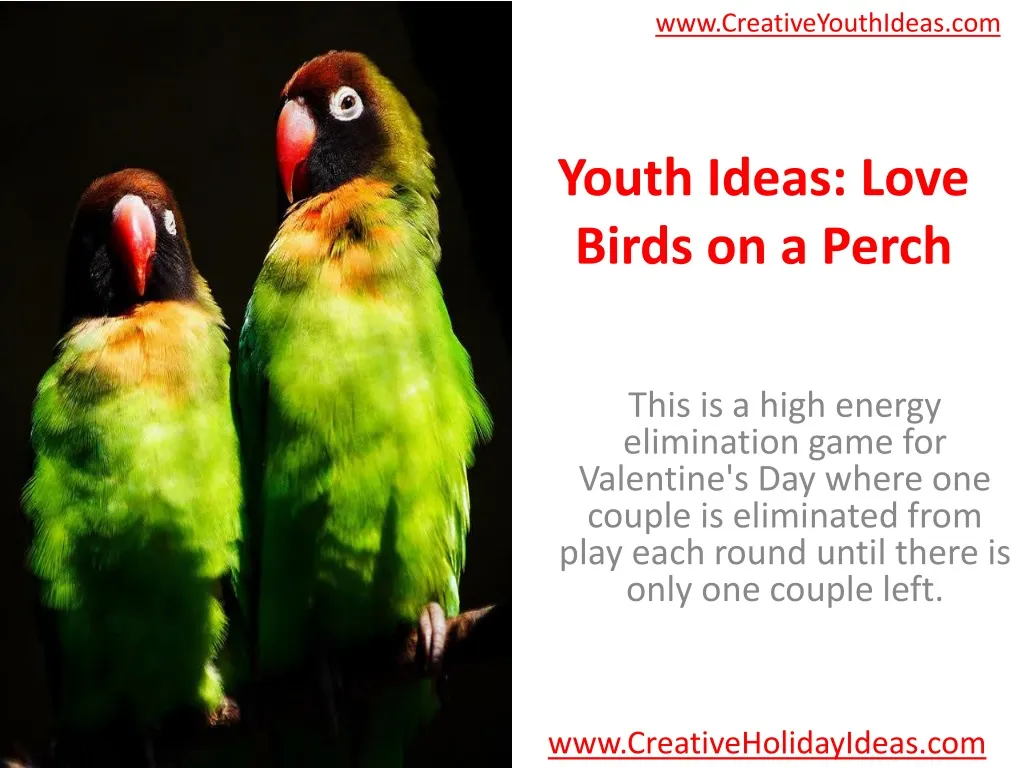 youth ideas love birds on a perch