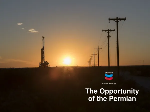 The Opportunity of the Permian