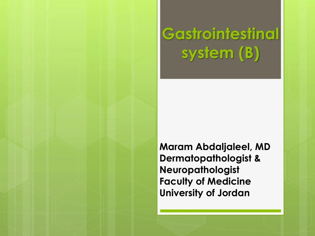 gastrointestinal system b