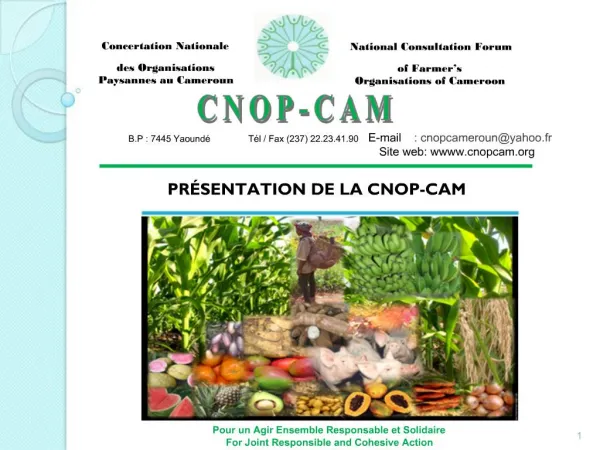 PR SENTATION DE LA CNOP-CAM