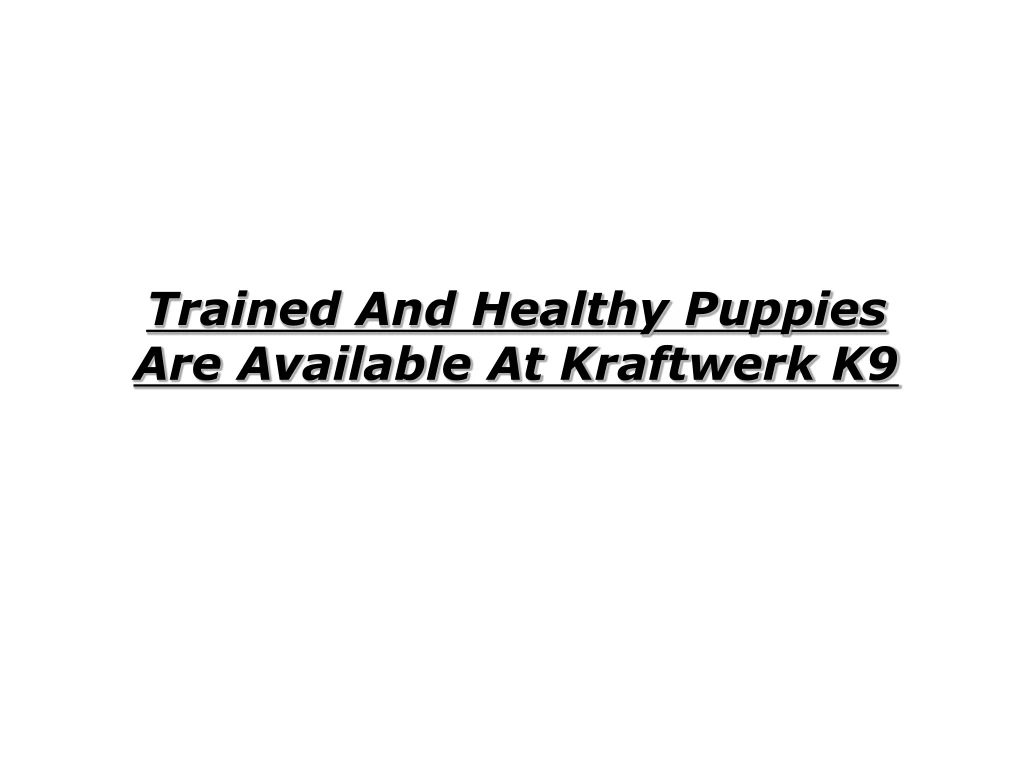 trained and healthy puppies are available