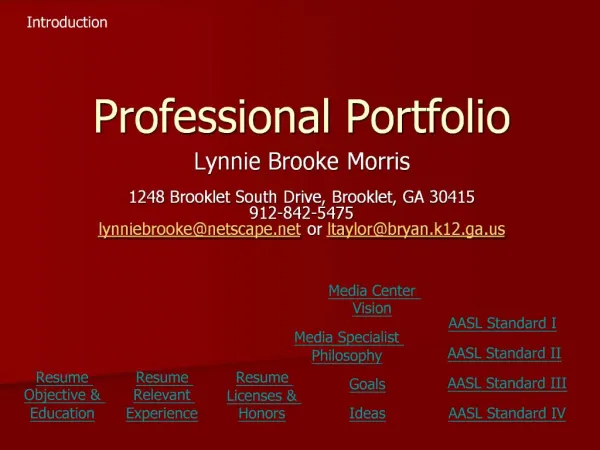 Professional Portfolio