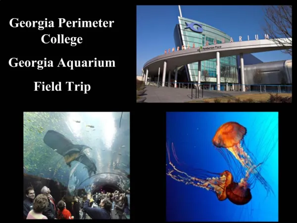 Georgia Perimeter College Georgia Aquarium Field Trip
