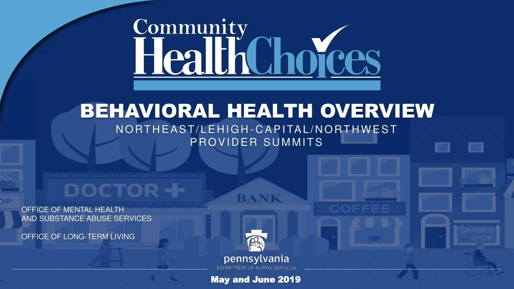behavioral health overview northeast lehigh