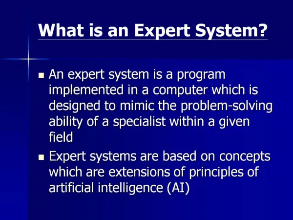 What is an Expert System
