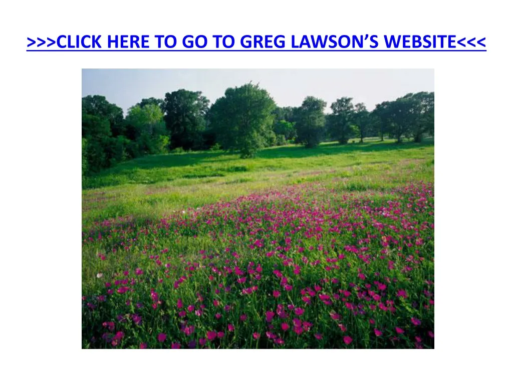 click here to go to greg lawson s website