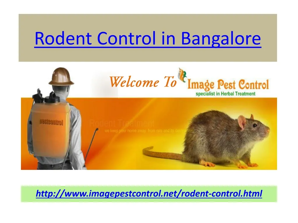 rodent control in bangalore