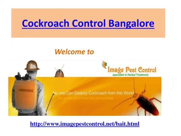Cockroach Control Bangalore