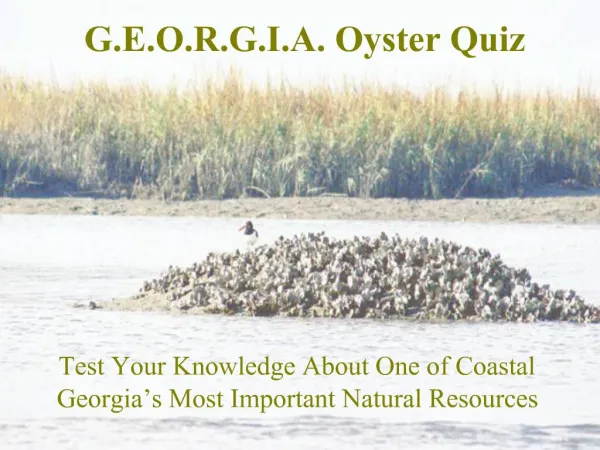 G.E.O.R.G.I.A. Oyster Quiz