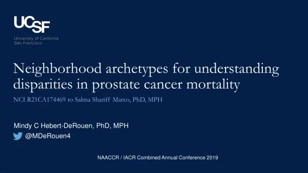 Neighborhood archetypes for understanding disparities in prostate cancer mortality