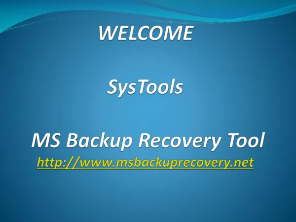 MS Backup Recovery Tool