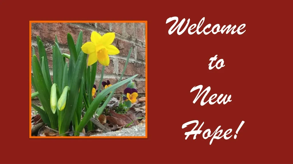 welcome to new hope