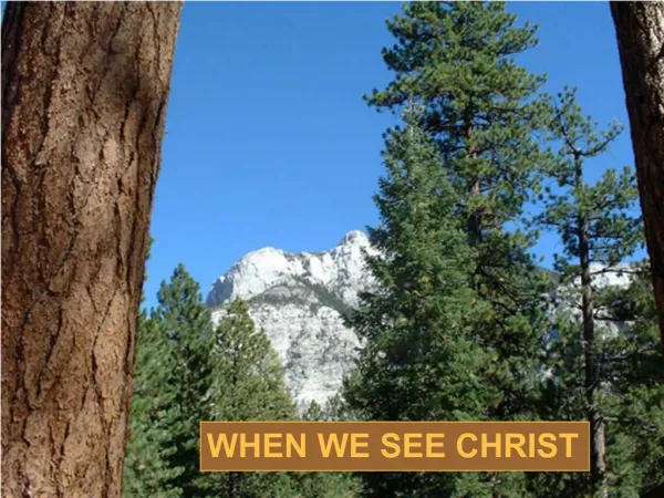 WHEN WE SEE CHRIST
