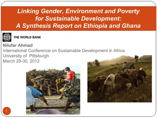 Nilufar Ahmad International Conference on Sustainable Development in Africa University of Pittsburgh March 29-30, 2012