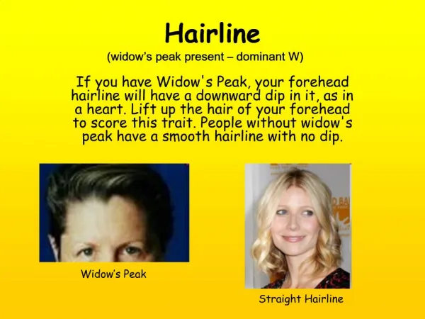 Hairline widow s peak present dominant W