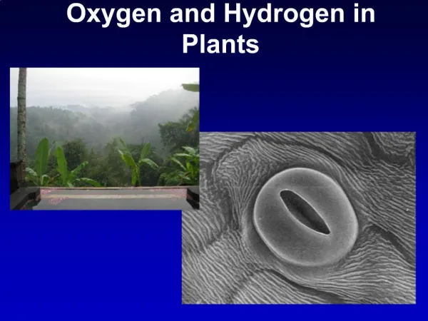 Oxygen and Hydrogen in Plants
