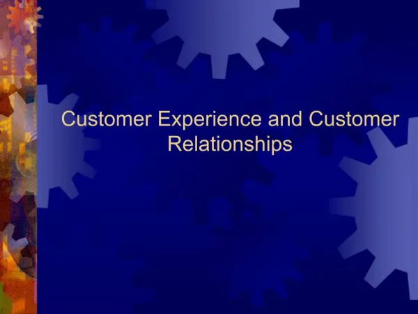 Customer Experience and Customer Relationships