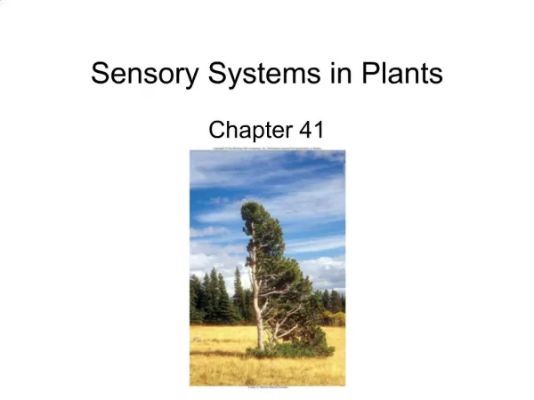 Sensory Systems in Plants