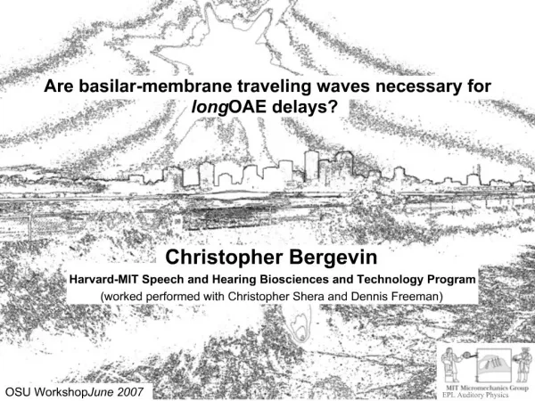 Are basilar-membrane traveling waves necessary for long OAE delays