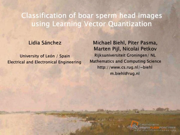 Classification of boar sperm head imagesusing Learning Vector Quantization