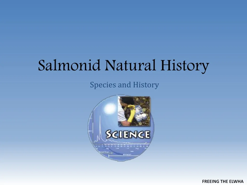salmonid natural history
