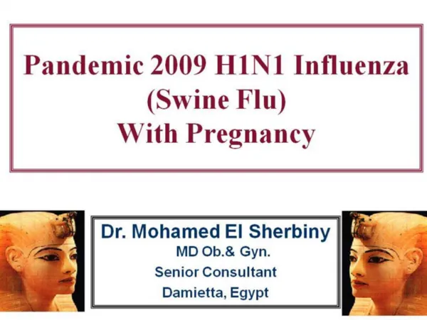 Pandemic 2009 H1N1 Influenza Swine Flu With Pregnancy