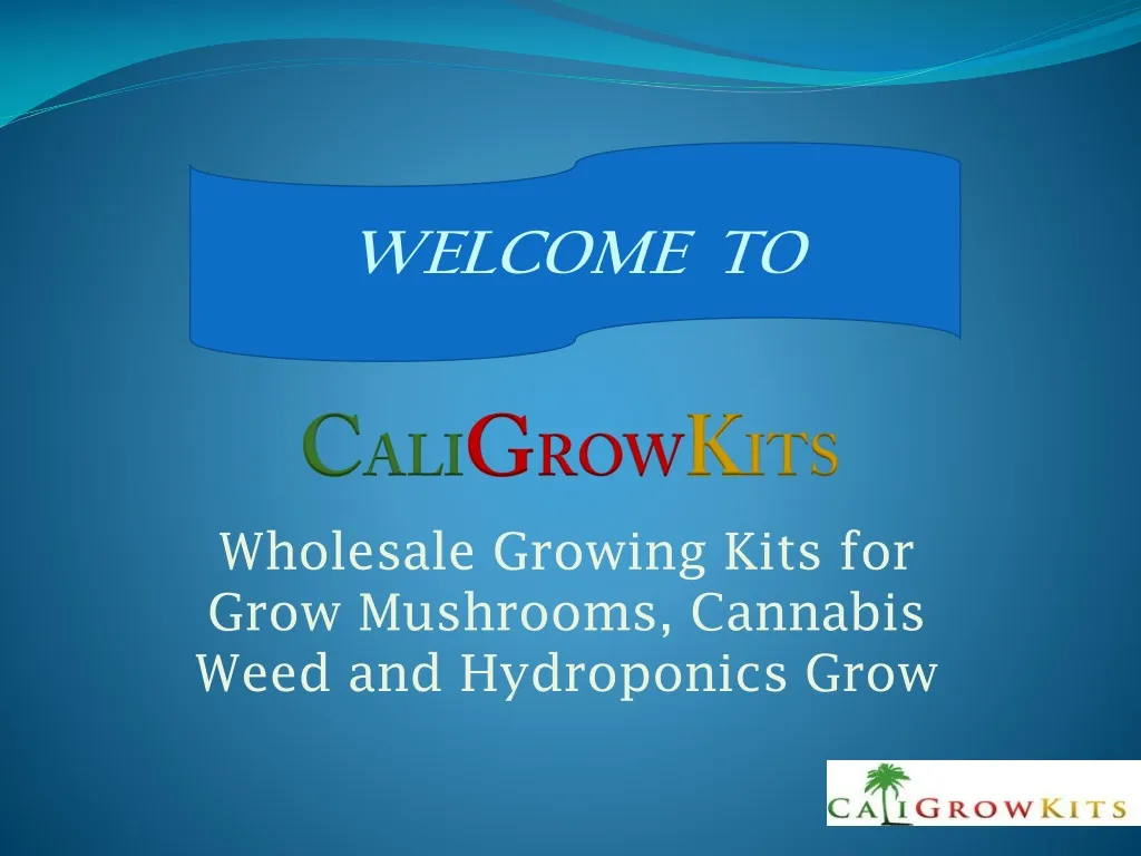 wholesale growing kits for grow mushrooms c annabis weed and hydroponics grow