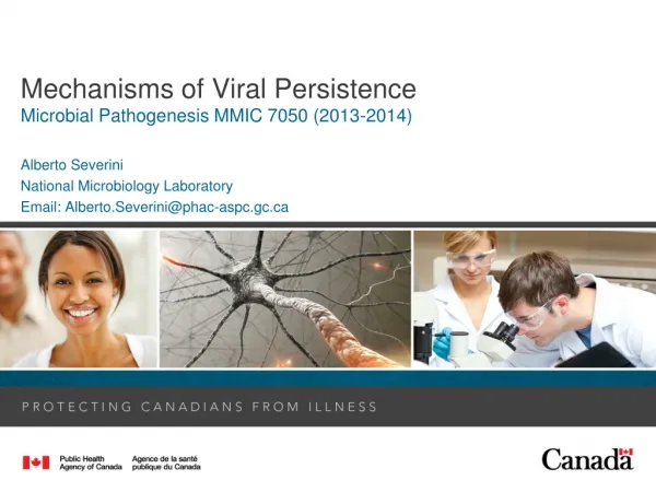 Mechanisms of Viral Persistence
