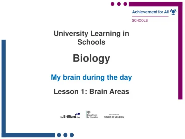 University Learning in Schools Biology My brain during the day Lesson 1: Brain Areas